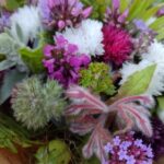 kytice lokální květiny slowflowers červen ústí nad labem