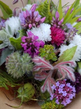 lokální květiny slowflowers červen ústí nad labem