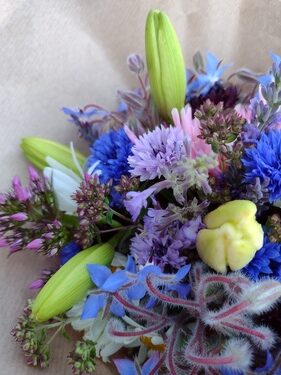lokální květiny slowflowers červen ústí nad labem