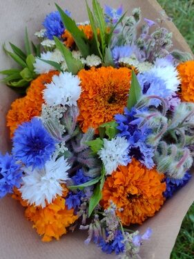 lokální květiny slowflowers červenec ústí nad labem