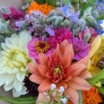 kytice lokální květiny slowflowers červenec ústí nad labem