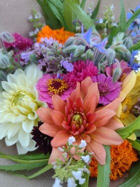 lokální květiny slowflowers červenec ústí nad labem