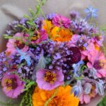 kytice lokální květiny slowflowers červenec ústí nad labem