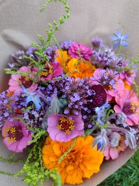 lokální květiny slowflowers červenec ústí nad labem