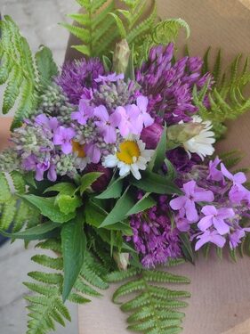 lokální květiny květen slowflowers ústí nad labem