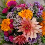 kytice lokální květiny slowflowers srpen ústí nad labem