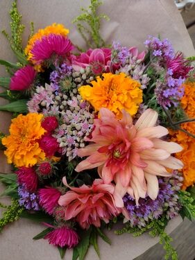 lokální květiny slowflowers srpen ústí nad labem