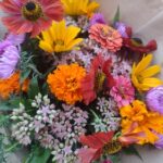 kytice lokální květiny slowflowers srpen ústí nad labem