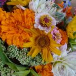 kytice lokální květiny slowflowers září ústí nad labem