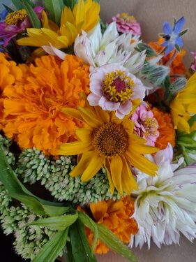 lokální květiny slowflowers září ústí nad labem