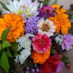 kytice lokální květiny slowflowers září ústí nad labem