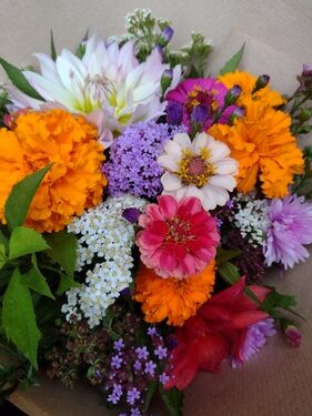 lokální květiny slowflowers září ústí nad labem