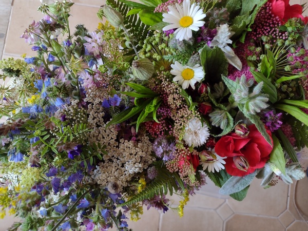 kytice lokální květiny slowflowers červen ústí nad labem