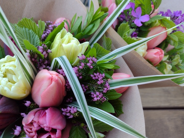 lokální kytice slowflowers tulipány duben ústí nad labem