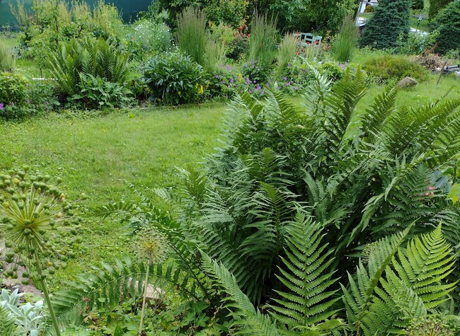 trvalkové záhony v přírodní zahradě s lavičkou v pozadí